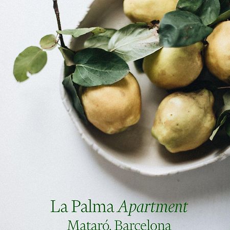Apartamento Atico En El Casco Antiguo マタロー エクステリア 写真